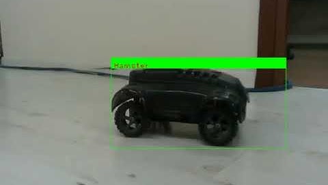 Object Detection with Intel  Movidius NCS