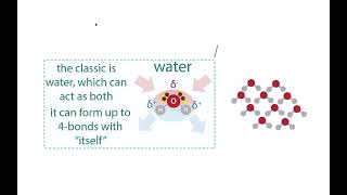 Intermolecular forces (IMFs), water, H-bonds, and the hydrophobic effect (water exclusion effect)