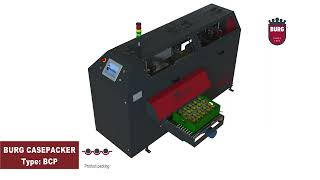 Burg Machinery - Case Packer - Type Bcp