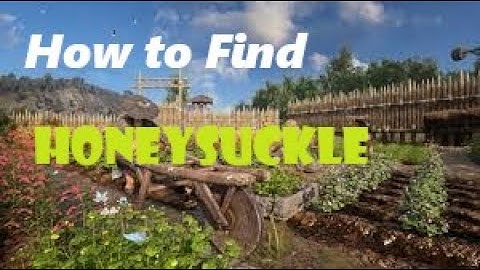 Myth of Empires- Guide! Were to fine Honeysuckle!