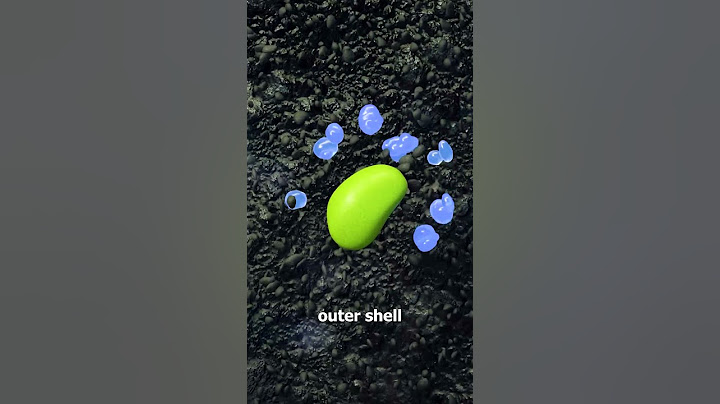 How A Seed Grows Into A Plant 😯
