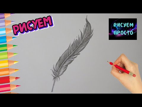 Как нарисовать ПЕРО КАРАНДАШОМ, Рисуем Просто/974/How to draw a PEN with a PENCIL