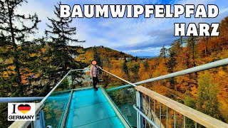 BAUMWIMPFELPFAD Bad Harzburg - Traumhafte Natur - Harz - Mitteldeutschland
