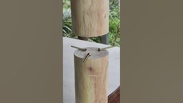 Perfect Woodworking Tips #diy #tools #woodworking #tips #shorts #woodwork