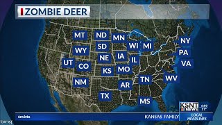 CDC fears 'zombie deer disease' spreading in Kansas could infect humans