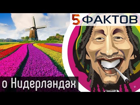 ⭐️ 5 ЗАМАНЧИВЫХ фактов о НИДЕРЛАНДАХ