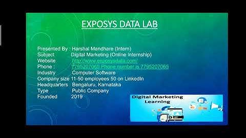 Digital Marketing Internship Program of Exposys Data Labs