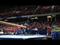 Alabama Gymnastics: The Power of Crimson Tide Fans
