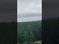 СПАСЕНИЕ УРАЛЬСКОГО ЛЕСА.  ВИДЕО ОТ АННЫ. ВЕДЬМИНА ИЗБА.
