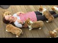 New Puppy Surprise Compilation 2023/2024 | Try Not to Cry |  Surprising my fiance with a puppy