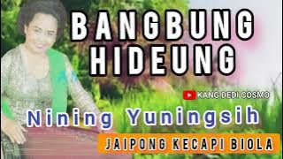 JAIPONG KECAPI BIOLA  || BANGBUNG HIDEUNG - NINING YUNINGSIH