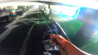 I sneaked into the mysterious space under the fish market!【Fishing camp and train fishing trip】