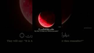 Download Lagu Qul limani al ardu waman feeha in kuntum taAAlamoon|| Surah muaminun#quran MP3 Download Lagu Qul limani al ardu waman feeha in kuntum taAAlamoon|| Surah muaminun#quran MP3