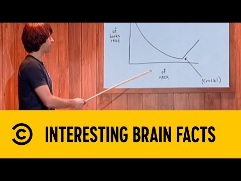 Interesting Brain Facts