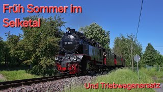 Früh Sommer im Selketal | Harzer Schmalspurbahnen