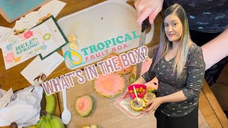 TROPICAL FRUIT BOX UNBOXING! PINKGLOW PINK PINEAPPLE REVIEW! WE TRY FRESH FRUIT DELIVERY! by Heath Goetsch 477 views 3 years ago 13 minutes, 16 seconds