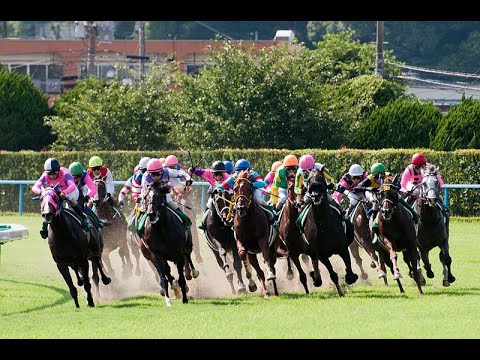 【競馬】第31回　NHKマイルカップ　みんなで見よう