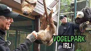 FAULTIERE FÜTTERN & von Vogel GEBISSEN!  LIVE aus dem Vogelpark ft. Giggsen | MontanaBlack IRL