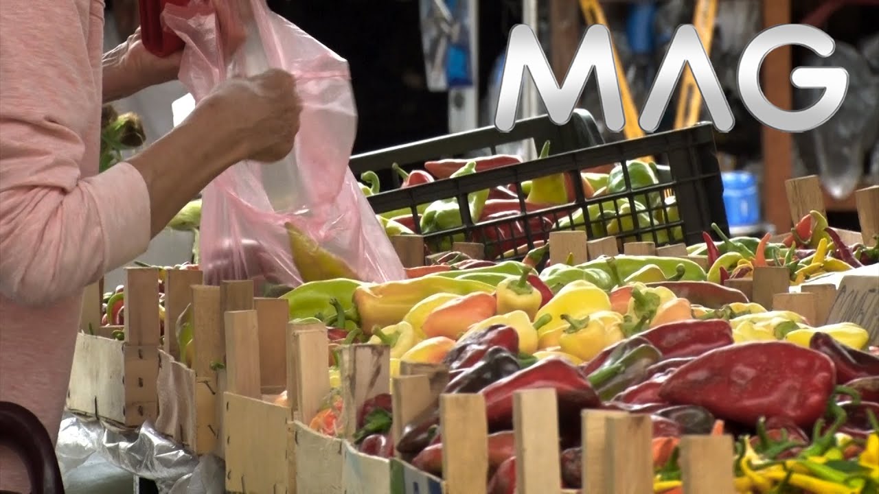 Paprika tek stiže na tezge obrenovačke pijace