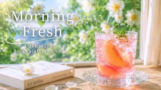 Morning Fresh ☀️ Wash Away Your Stress with Soft Music | Calm BGM screenshot 5