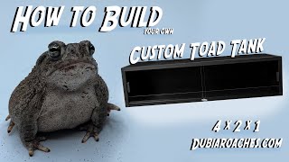 How to Build a Custom Toad Enclosure