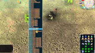 Runescape 1m/hour guide - Killing the green dragon bots.