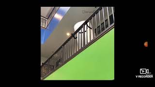 I Watched Doodland With The First Setup. Making Of Doodland