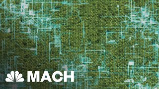 Can Genetically Engineered Bacteria Be Taught To Heal Wounds? | Mach | NBC News