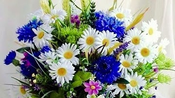 Beauty of simplicity - Signs / Divide By Nine