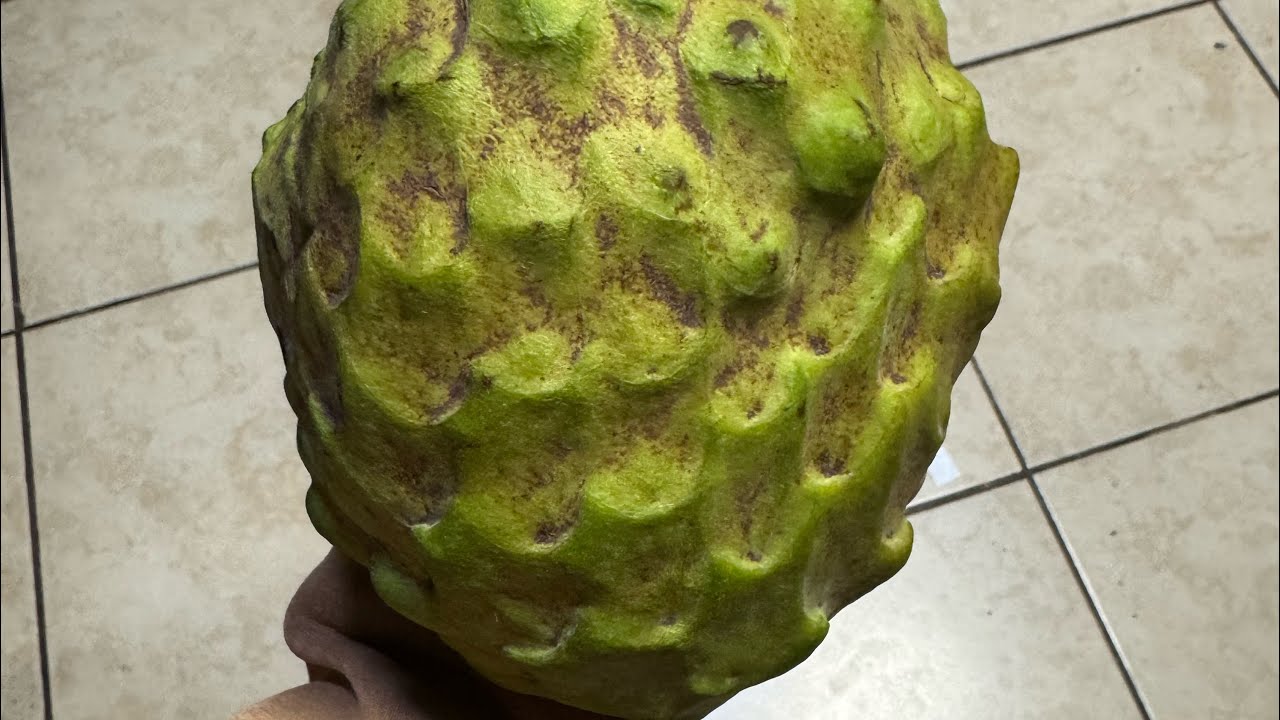 Sale trái mãng cầu,ngon rẻ nhất trong năm.626-725-5538 em có ship trái 