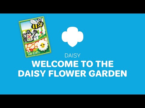 Daisy Welcome To The Daisy Flower Garden Journey Workshop Youtube