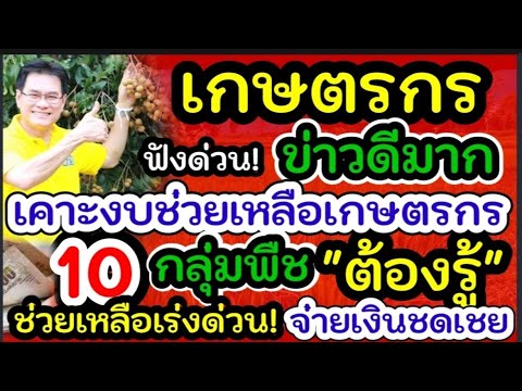 เกษตรกรฟังด่วน อนุมัติงบกองทุนช่วยเหลือเกษตร2.5 พันล้านอนุมัติช่วยเกษตรกร 10 กลุ่มพืชเงินชดเชยข้าว