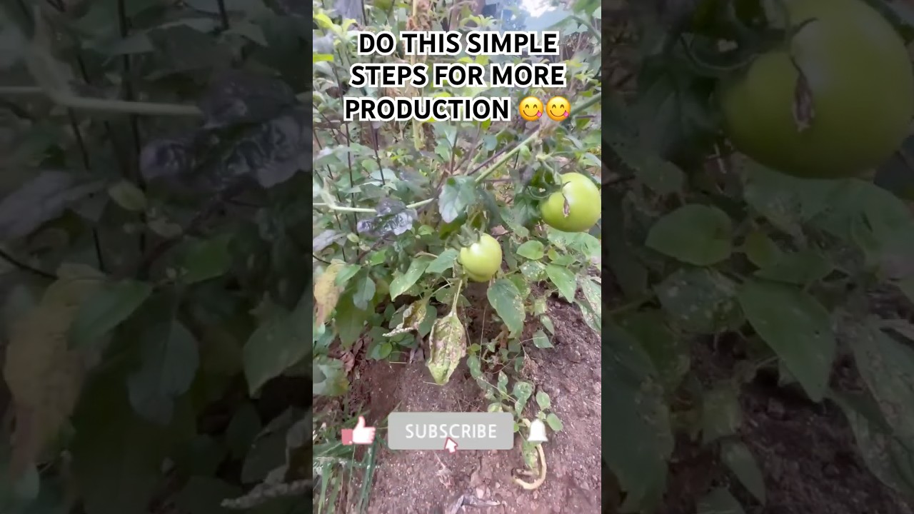 Do this for more Production 😇😇 