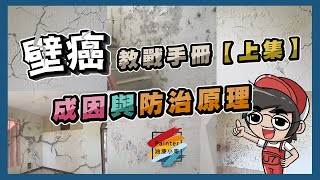 壁癌處理《上集》教戰手冊   根治「壁癌」要從原理了解【油漆小哥】丨壁癌如何處理丨壁癌原因丨壁癌漆丨壁癌形成的成因丨白華與白毛丨鈣離子丨碳酸鈣丨矽酸質油漆丨虹牌壁癌包丨外牆漏水丨浴室漏水