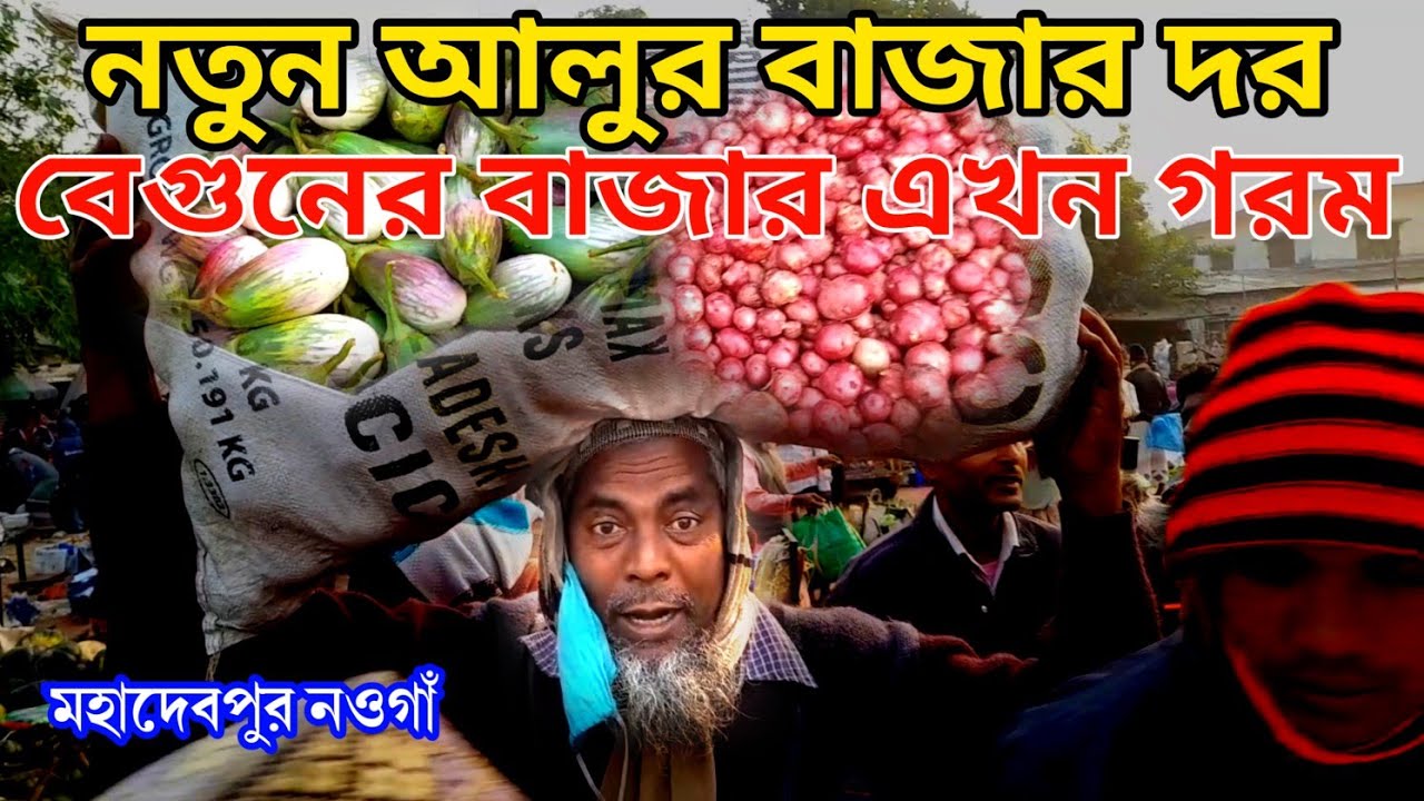 বেগুন বাজার গরম || Eggplant market is hot || কাঁচা বাজার দর মহাদেবপুর নওগাঁ || Mohadevpur Naogaon 