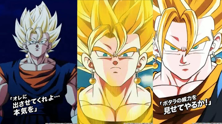 NEW 10TH ANNIVERSARY TEQ LR SUPER VEGITO SUPER ATTACK ANIMATIONS!!!