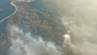Высокий класс пожарной опасности лесов Приморья может понизиться после дождя в четверг