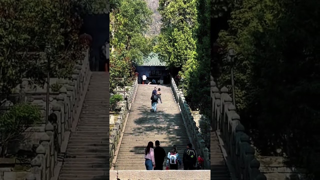 少年,你為何會向道#道系青年 #相信科學拒絕迷信 #山不見我我自去見山 #遇見武當 縮圖