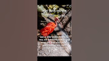 سورة الطلاق الآية 2،3 الترجمة البنغالية. সূরা আত তালাক #quranpak #qurantranslation #quranismylife
