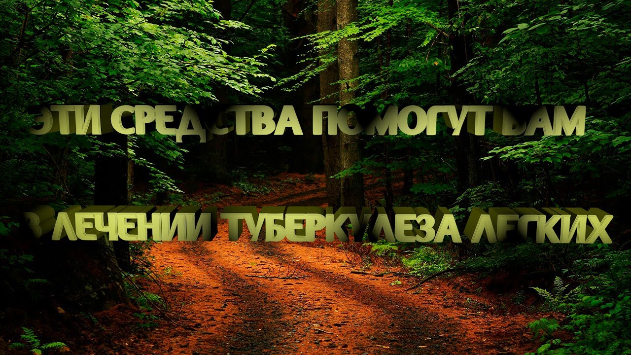 Эти средства народной медицины помогут в лечении туберкулеза легких