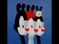 Cursed Animaniacs