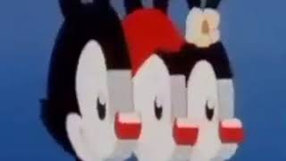 Cursed Animaniacs