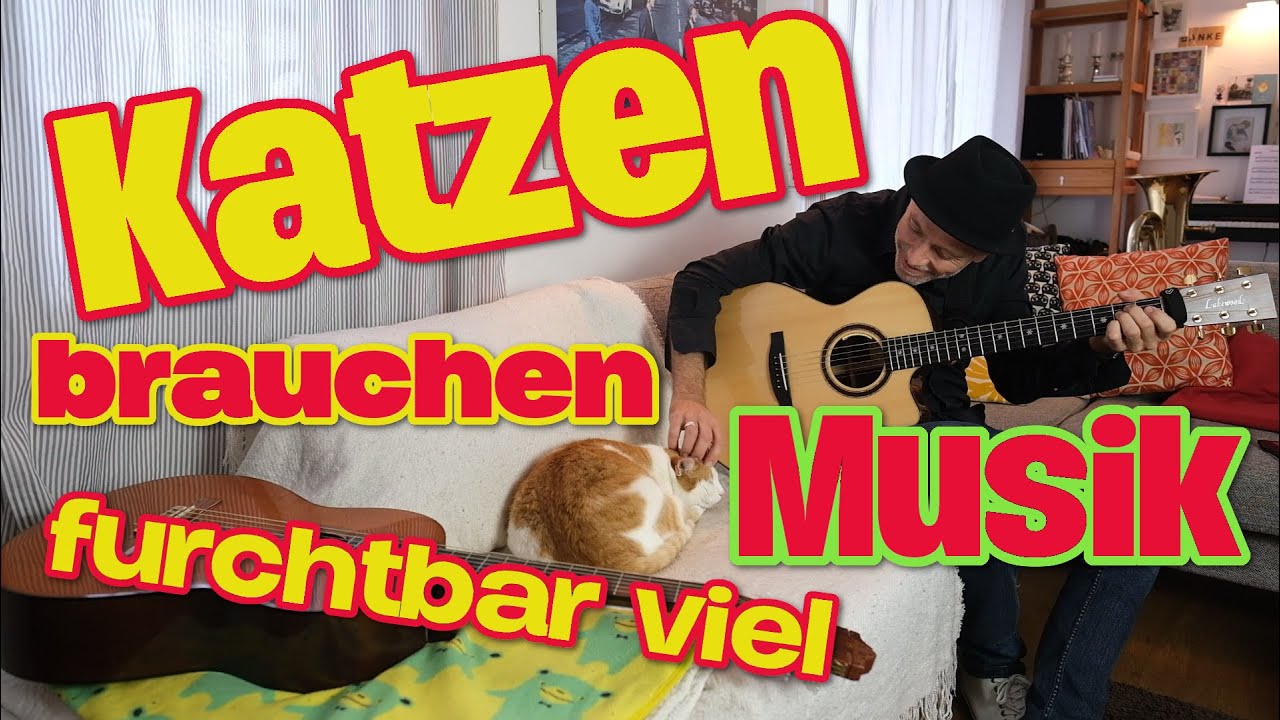 Aristocats Katzen Brauchen Furchtbar Viel Musik Lyrics Katzen brauchen furchtbar viel Musik Chords - Chordify