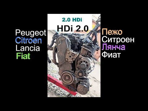 HDi 2.0 Где указан номер двигателя, код (тип) мотора от PSA