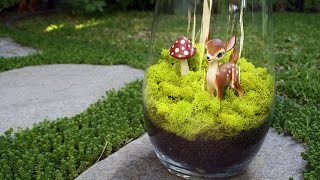 フィギュアを使ったテラリウムが凄いｗガラスの中に物語が♪～Terrarium I use the figure