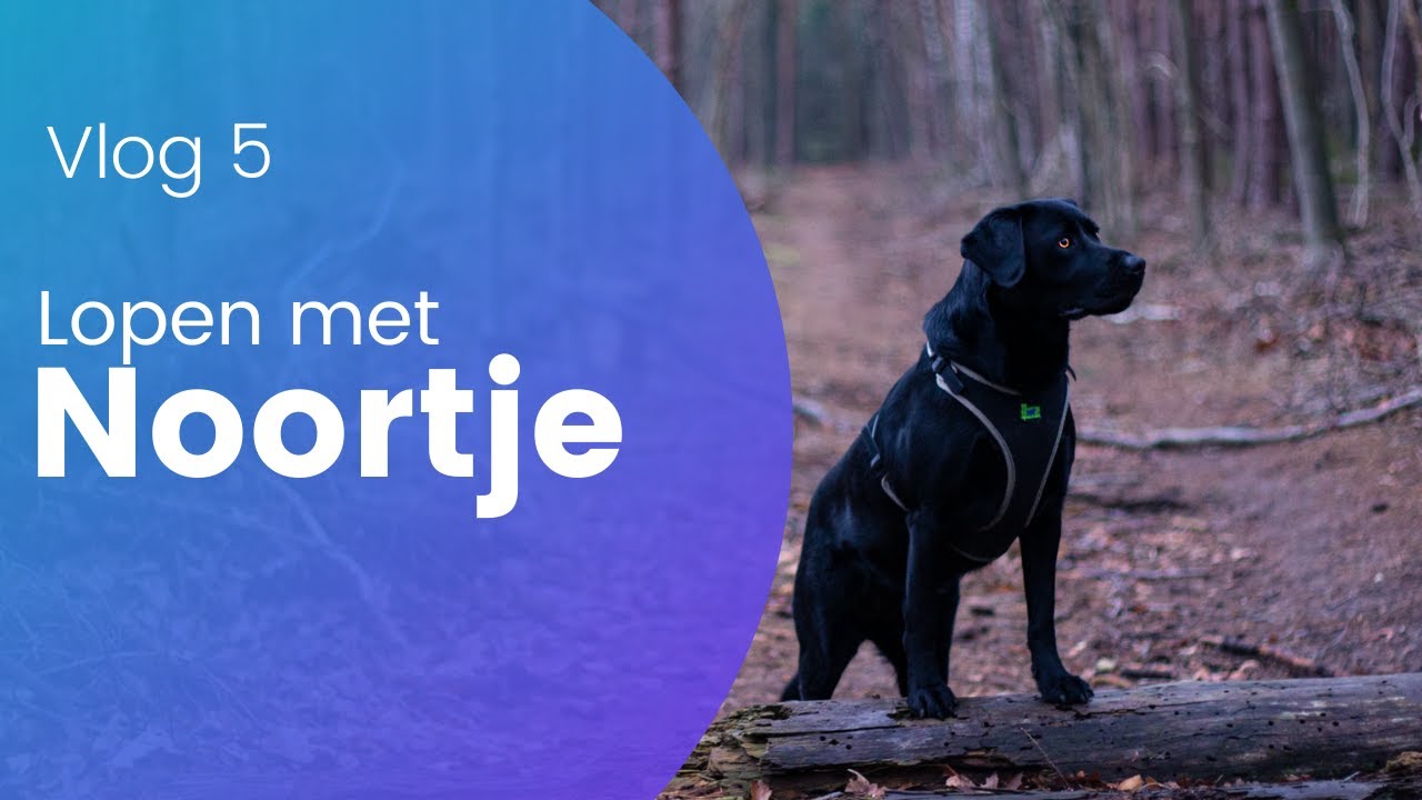 Met Noortje lopen kleine vlog #5