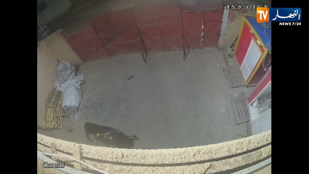 سطيف: الدرك يطيح بعصابة تحترف السطو على المصانع بأولاد صابر