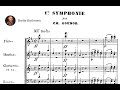 Miniature de la vidéo de la chanson Symphony No. 1 In D Major: I. Allegro Molto