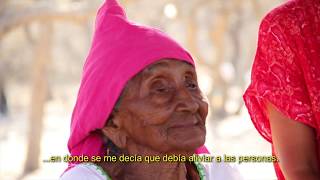 Documental Guajira Viva