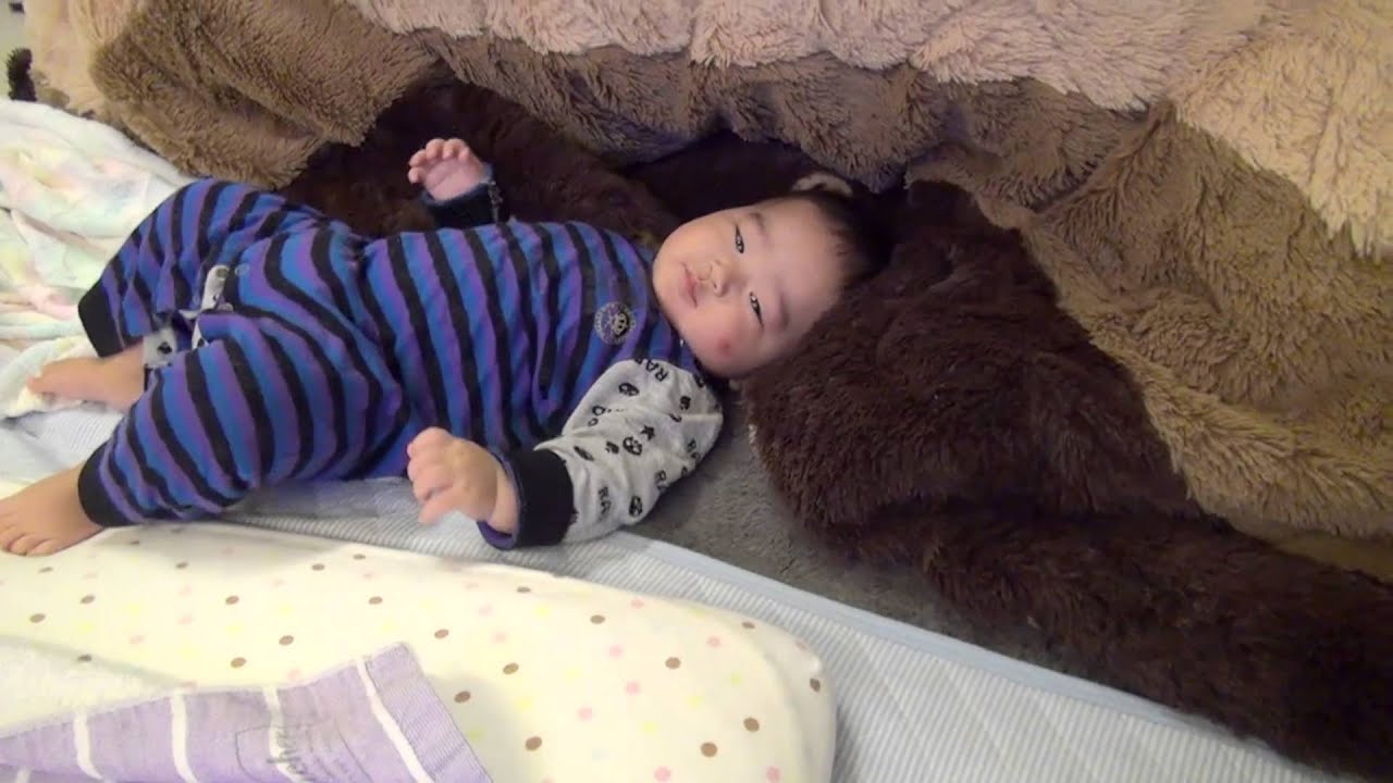 赤ちゃんがこたつに突撃 Baby Assault On Kotatsu かわいい Kawaii Youtube